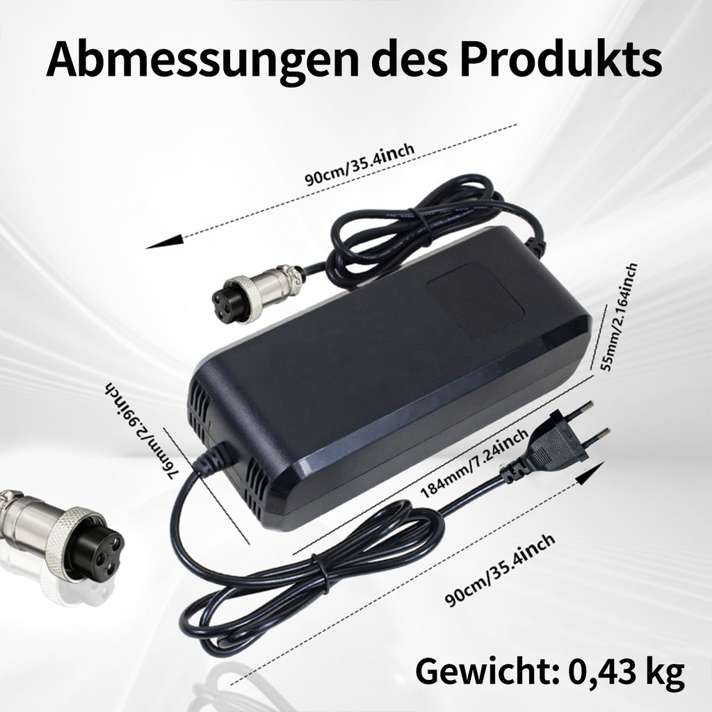 YZPOWER 54.6 4A Lithium Battery Charger for 48v 13s Li-Ion Battery Pack gx16-3 12mm Connector, 48v Power Adapter Built-in Fan Display Showing Instant Charging Voltage