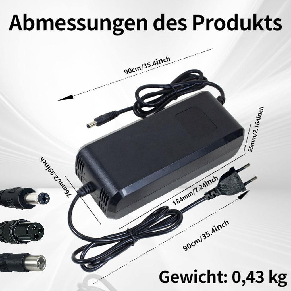 42V5A Universal Triple Port Fast Charger Ideal for Personal Mobility Devices, Real-time Voltage Monitoring, Optimized Charging and Wide Compatibility