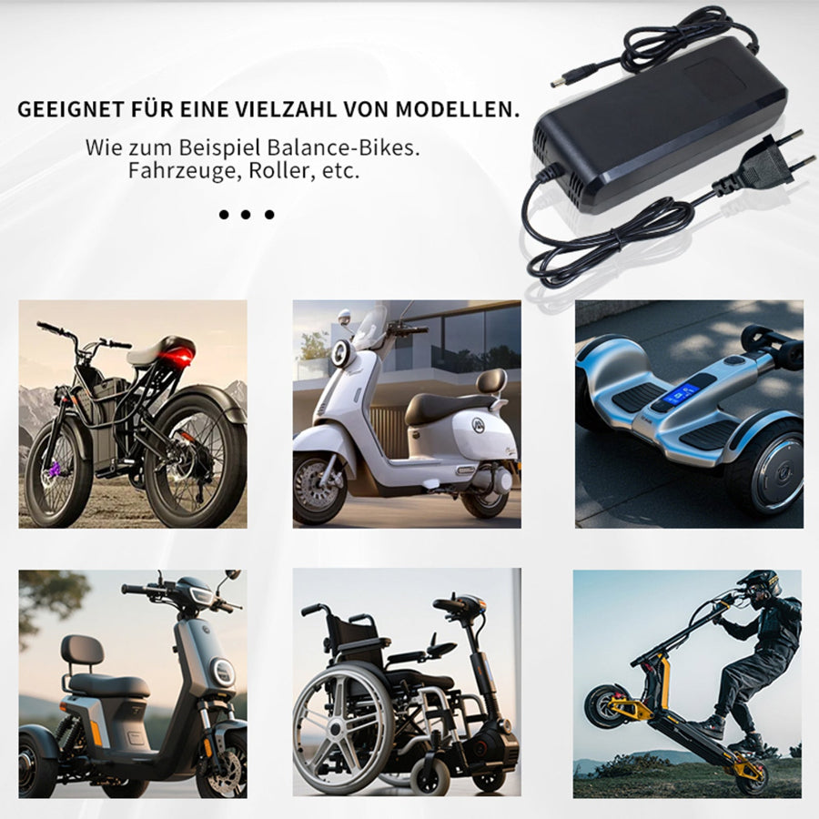 42V5A Universal Triple Port Fast Charger Ideal for Personal Mobility Devices, Real-time Voltage Monitoring, Optimized Charging and Wide Compatibility